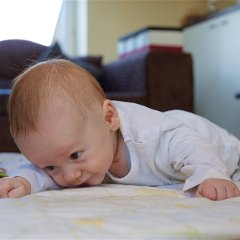 IMG 071